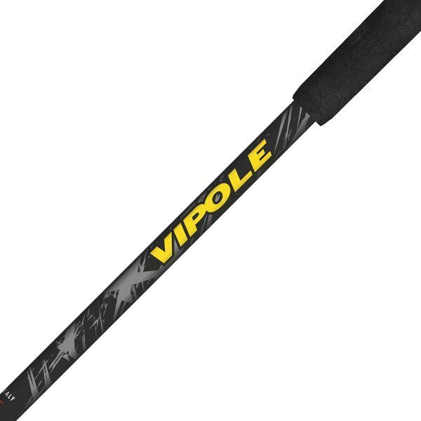 Палиці трекінгові Vipole Discovery Cork DLX (S25 12) купити в Україні